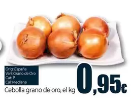Cebolla Grano De Oro