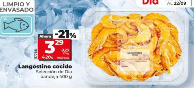 Seleccion De Dia - Langostino Cocido