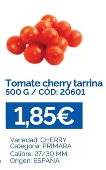Tomate Cherry Tarrina