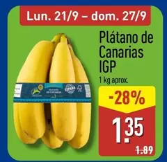 Platano De Canarias IGP