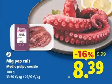 Mig Pop Cuit