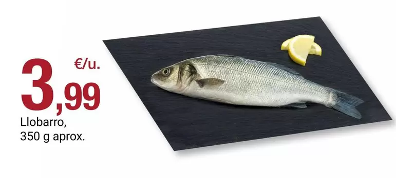 Llobarro