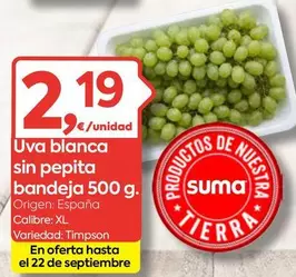 origen - Uva Blanca Sin Pepita Bandeja