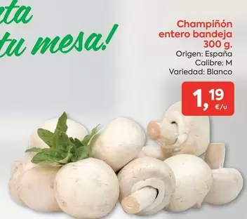 origen - Champiñón Entero Bandeja