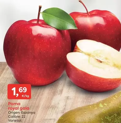 Gala - Poma Royal