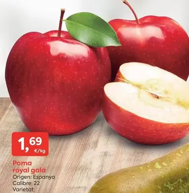Gala - Poma Royal