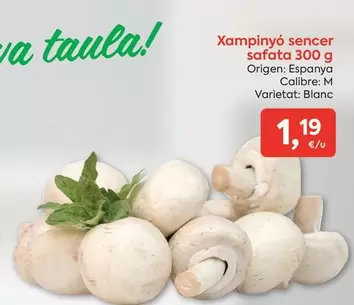 origen - Xampinyo Sencer Safata