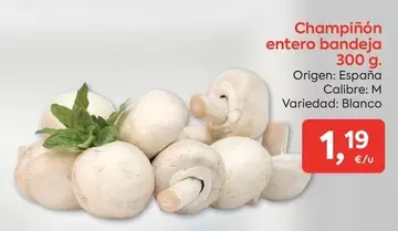 origen - Champiñón Entero Bandeja