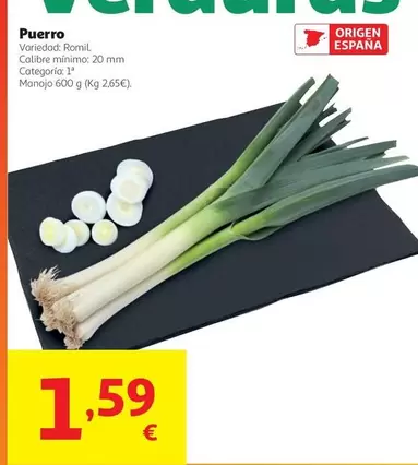 origen - Puerro