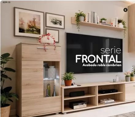Mueble De Salón