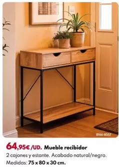 Mueble Recibidor