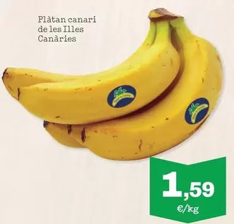 Plátano De Canarias - Plátano