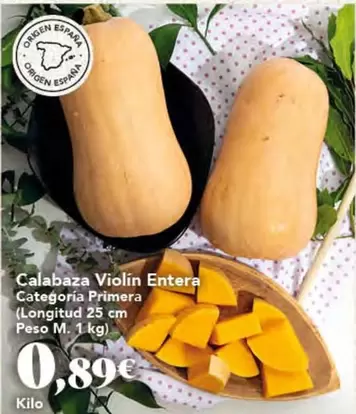 origen - Calabaza Violin Entera