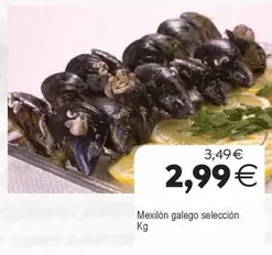 Mexilón Galego