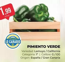 California - Pimiento Verde