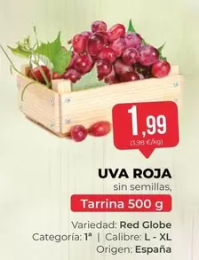 origen - Uva Roja