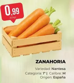 origen - Zanahoria