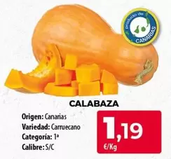 origen - Calabaza