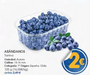 origen - Arándanos