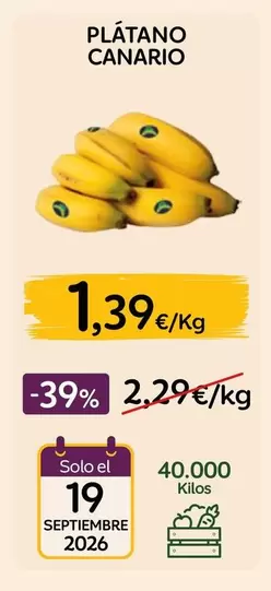 Solo - Platano Canario