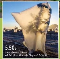 Saco Térmico Cultivo