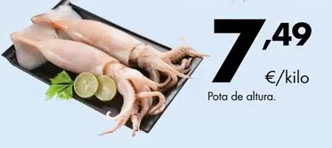 Pota De Altura