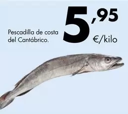 Pescadilla De Costa Del Cantabrico