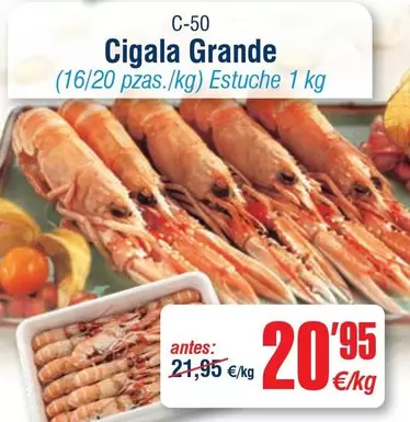 Cigala Grande