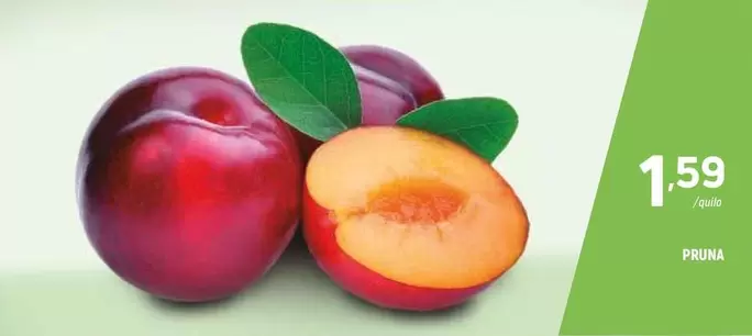 Prima