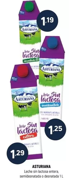 La Asturiana - Leche Sin Lactosa