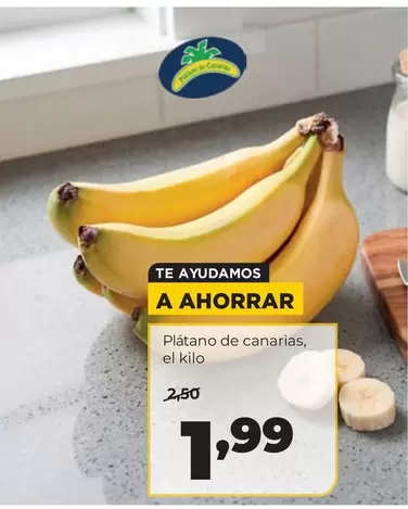 Platano De Canarias