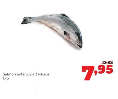 Salmon Entero
