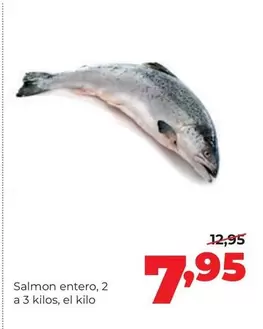 Salmon Entero