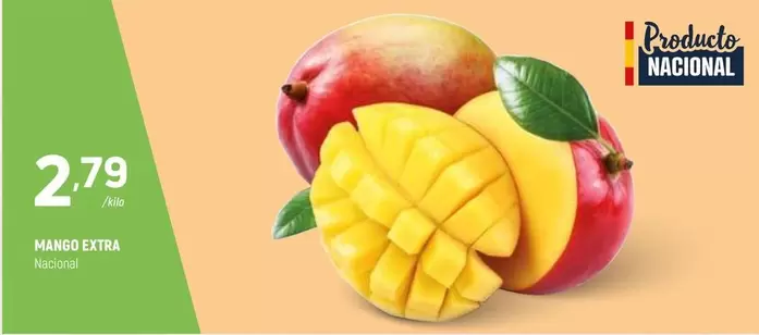 mango - Mango Extra
