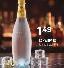 Schweppes - Tonica Botella