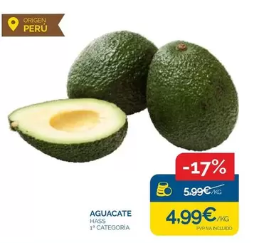 origen - Aguacate