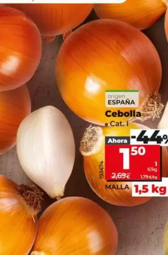 Cebolla