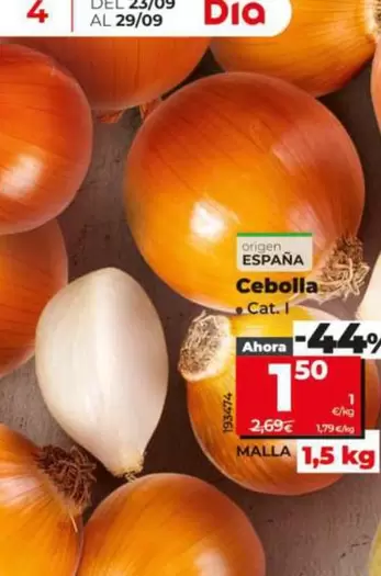 Cebolla