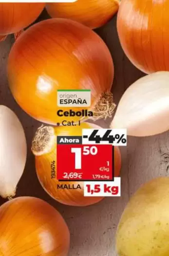 Cebolla
