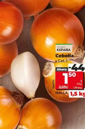 Cebolla