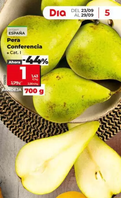 Pera Conferencia