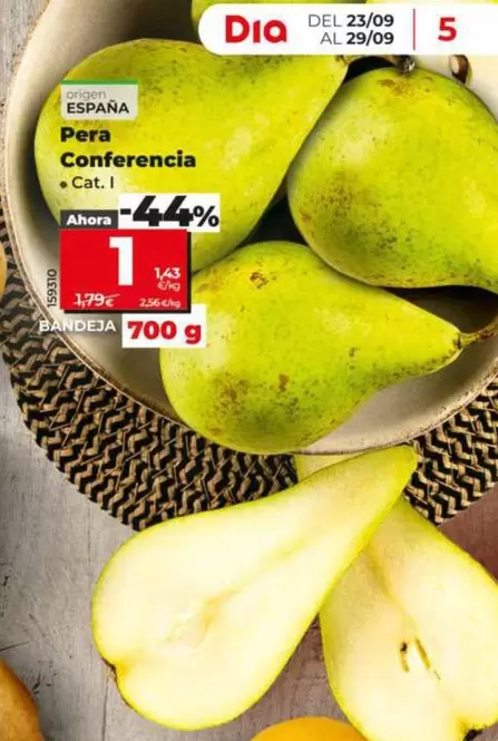 Pera Conferencia