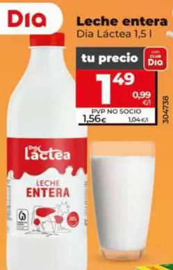Dia Lactea - Leche Entera