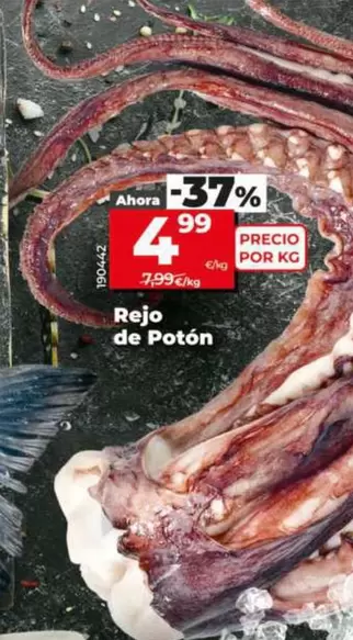 Rejo De Potón