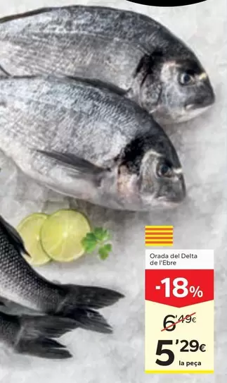Orada Del Delta De L'Ebre
