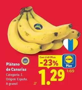 Platano De Canarias