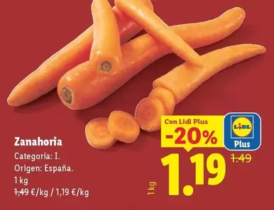 Zanahoria