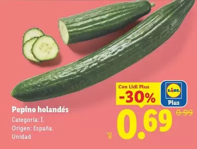 Pepino Holandes