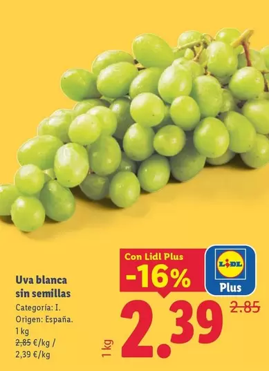 Uva Blanca Sin Semillas
