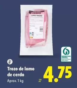 Trozo De Lomo De Cerdo